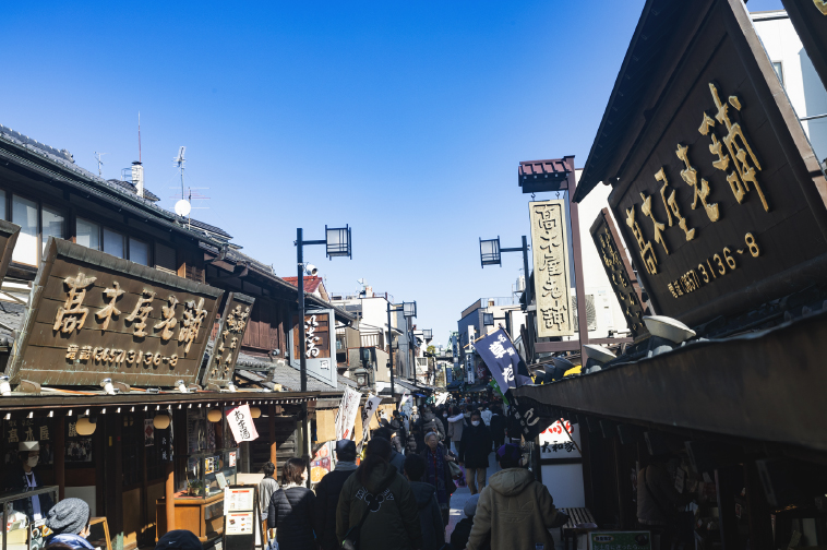 葛飾・江戸川区に特化した家づくり